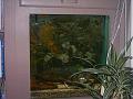PICT0034